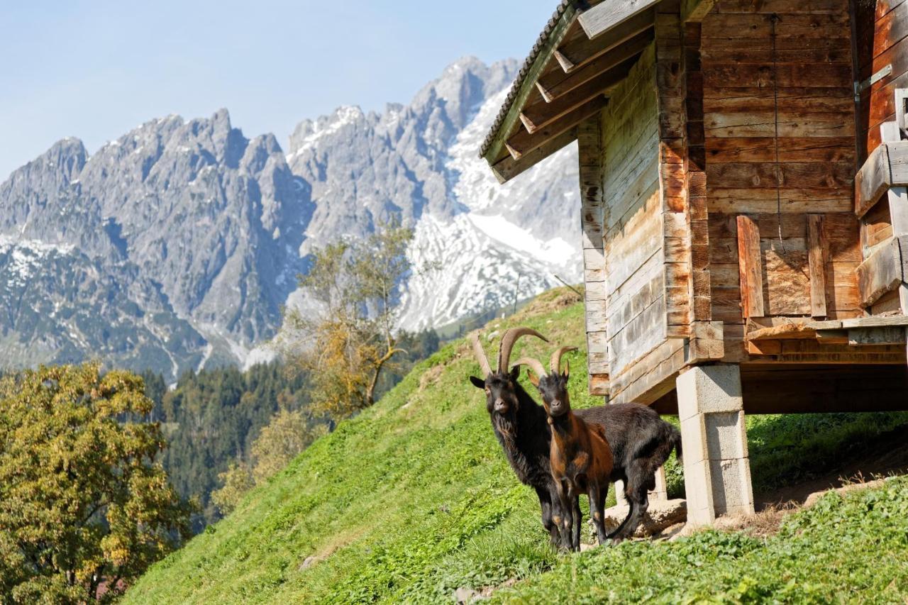 Gut Stein Panoramalodge Mühlbach am Hochkönig Kültér fotó
