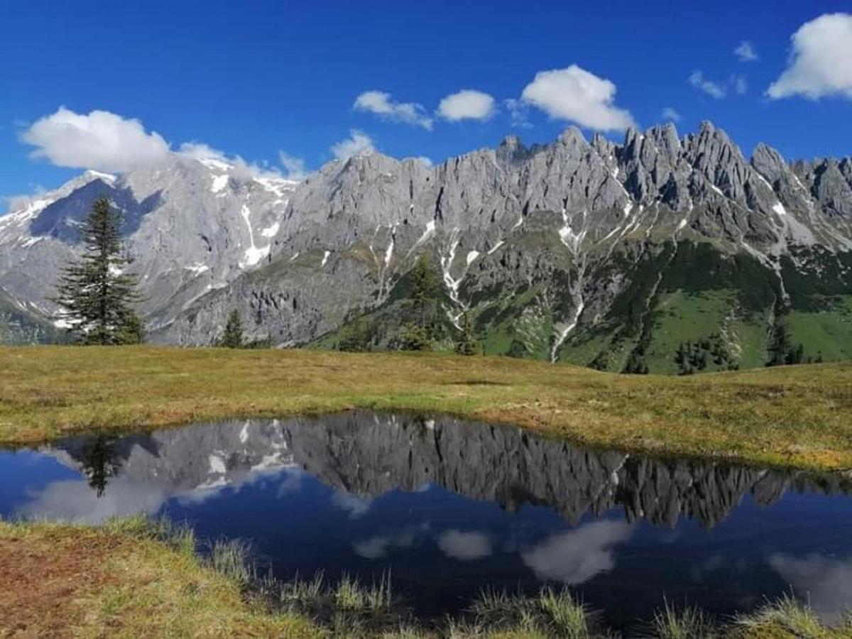 Gut Stein Panoramalodge Mühlbach am Hochkönig Kültér fotó